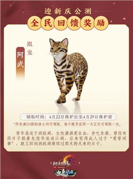 怒发湘西天龙八部私服